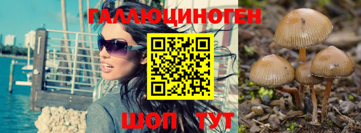 Псилоцибиновые грибы Psilocybine cubensis Благодарный
